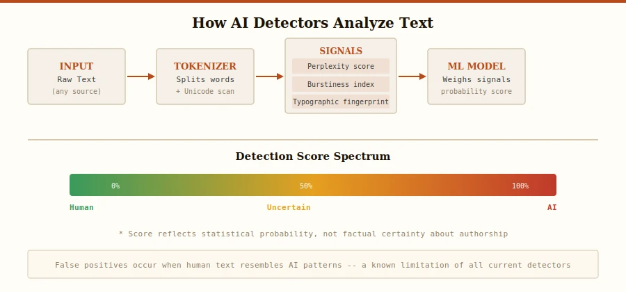 Diagram showing how AI detectors analyze text: tokenizer splits input, signals (perplexity, burstiness, typographic fingerprints) are extracted, then an ML model produces a detection probability score