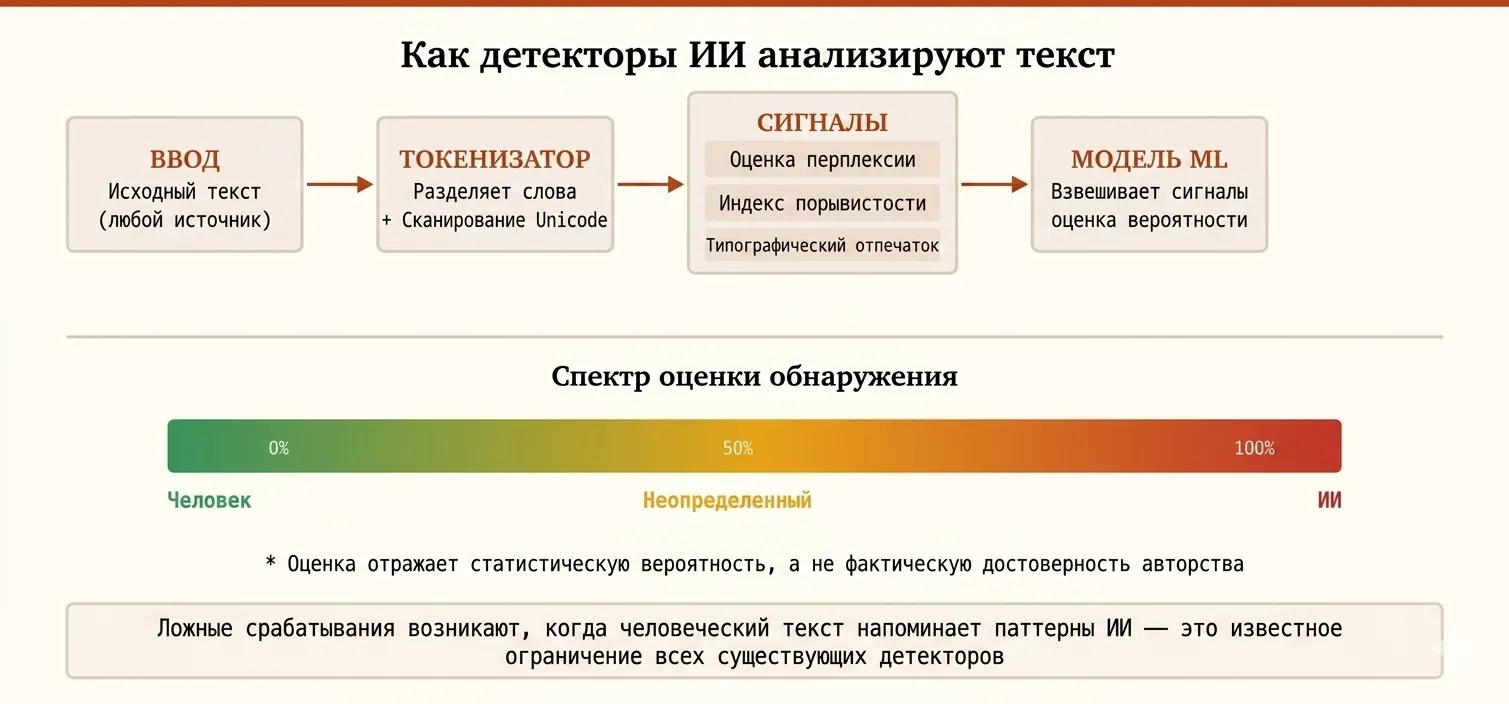 Схема работы детекторов ИИ: токенизатор разбивает входной текст, извлекаются сигналы (перплексия, бёрстинесс, типографские отпечатки), затем ML-модель выдаёт оценку вероятности ИИ-авторства